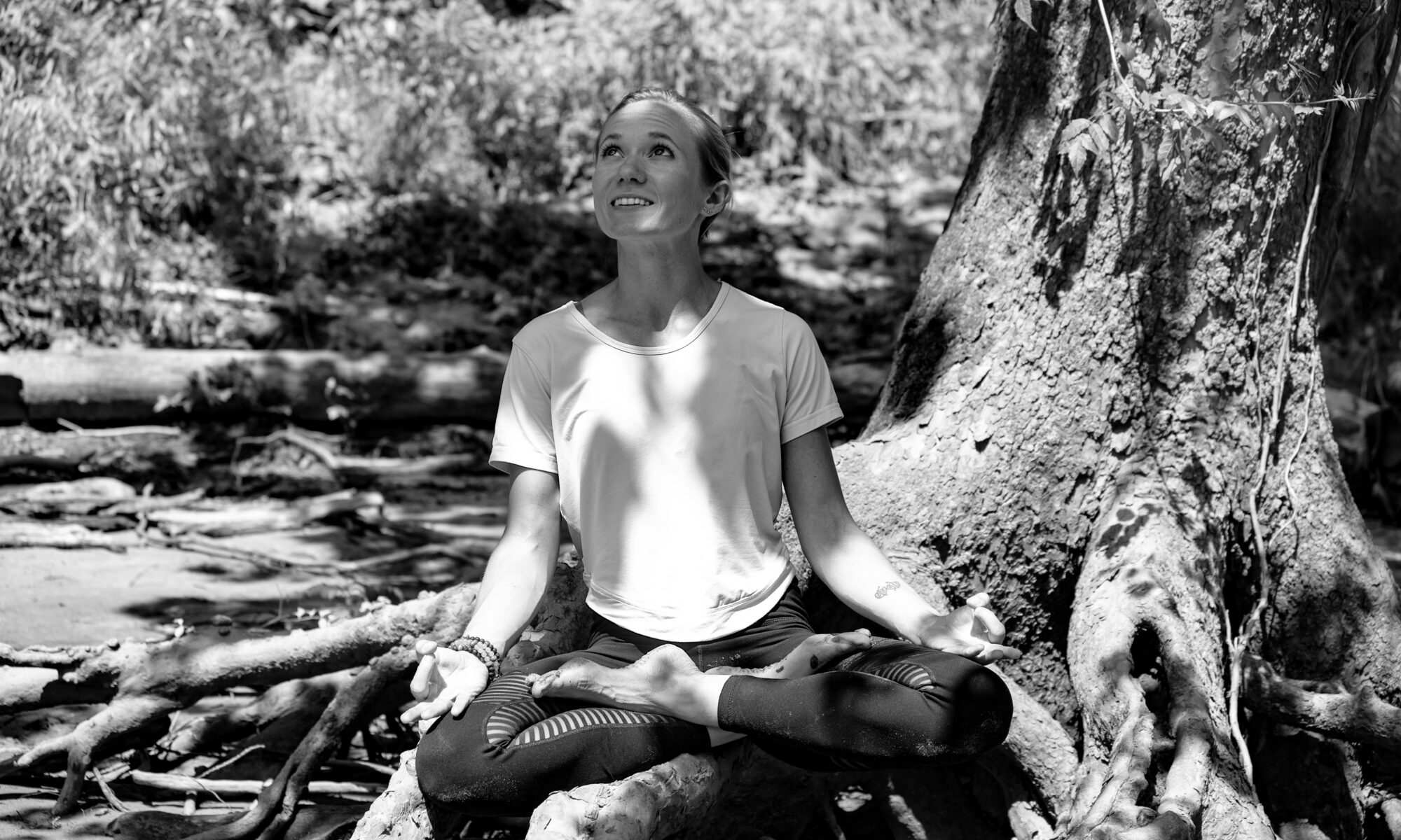 Amy Rizzotto Trauma Informed Yoga